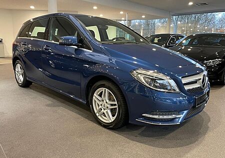 Mercedes-Benz B 200 , PTS mit Kamera, SU, Xenon, 8Fach bereift