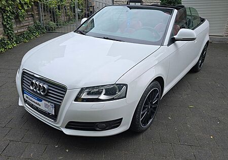 Audi A3 1.6 Cabriolet Attraction Xenon Windschott