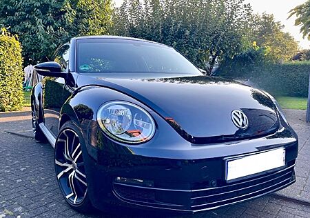 VW Beetle gebraucht kaufen VW Beetle Volkswagen 1.2 TSI (105 PS) | Gepflegt, 2. Hand