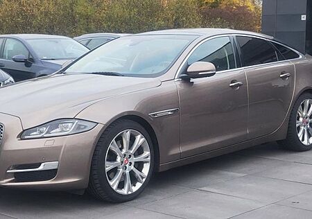 Jaguar XJ Premium Luxury Metallic