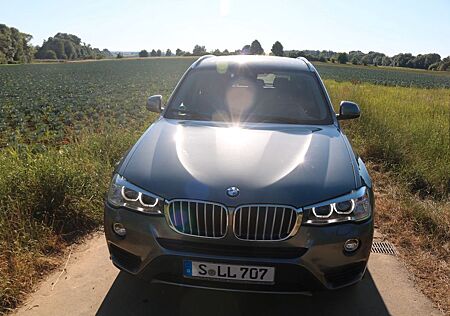 BMW X3 xDrive30d xLine Sport Standh HeadUp 2HD VOLL