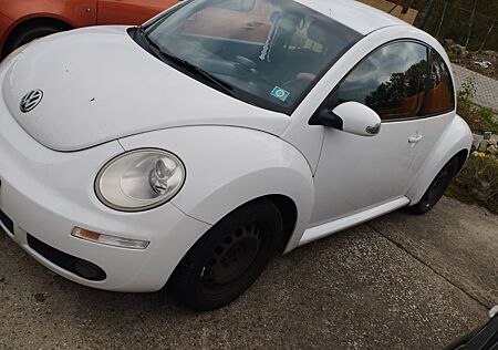 VW New Beetle Volkswagen 1.6 Klima