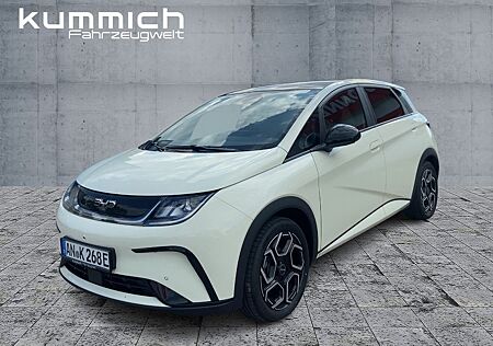 BYD DOLPHIN 2025 Design