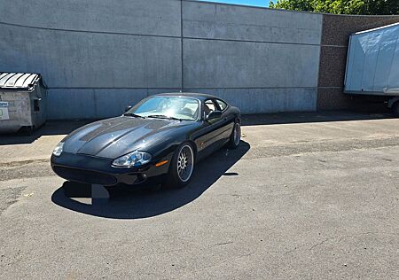 Jaguar XK8 Coupe - Arden