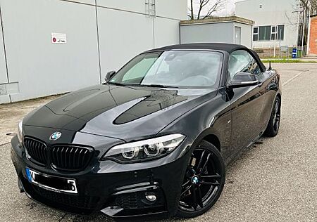 BMW 220i Cabrio M Sport Leder Navi H/K LED