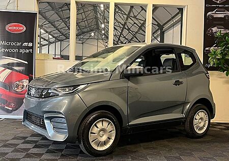 Aixam City S10 Grey WIE NEU / KLIMA Mopedauto Microcar