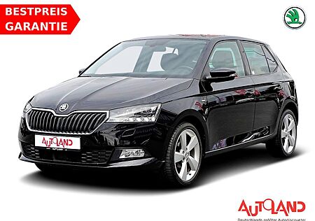 Skoda Fabia 1.0 TSI Clever LED Navi Sitzheizung DAB
