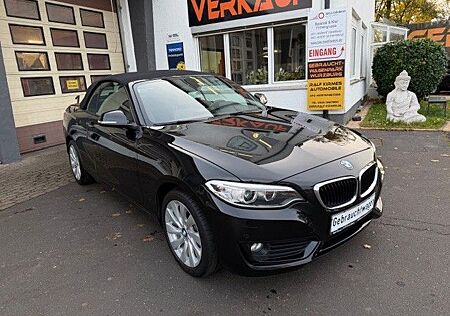 BMW 220i Cabrio Advantage Leder Navi Bi Xenon PDC SH