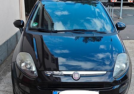 Fiat Punto 1.2 8V POP POP