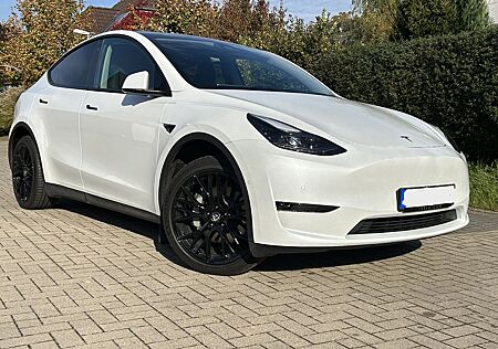 Tesla Model Y Long Range Dual Motor AWD 20Zoll Tomason