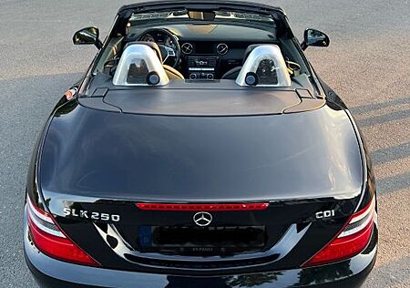Mercedes-Benz SLK 250 CDI
