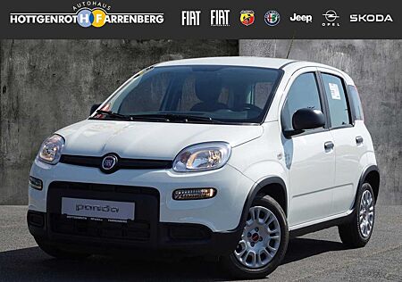 Fiat Panda 1.0 Mild Hybrid 70PS EU6d