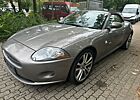 Jaguar XK 3.5L V8 Cabriolet Scheckheft bei