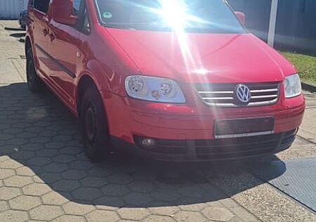 VW Caddy Volkswagen Life Gewinner