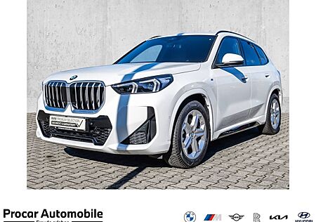 BMW X1 xDrive23d M Sport AHK Pano DA+ H/K LED RFK DA