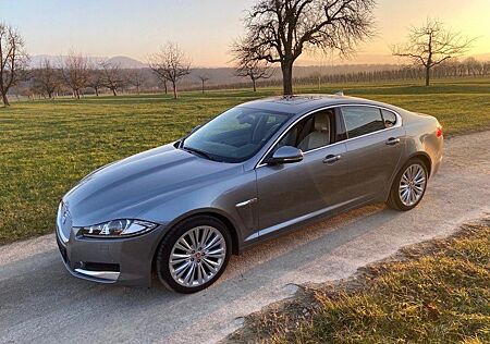 Jaguar XF 3.0 L V6 Kompressor AWD -