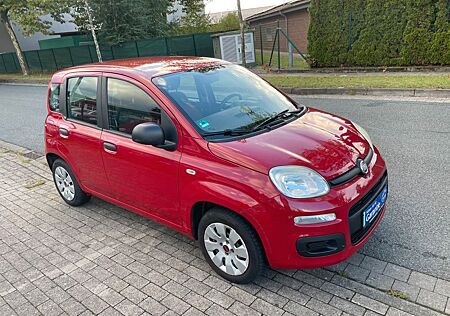 Fiat New Panda Panda 1.2 Rentnerfahrzeug 64.000KM TÜV 03/2026