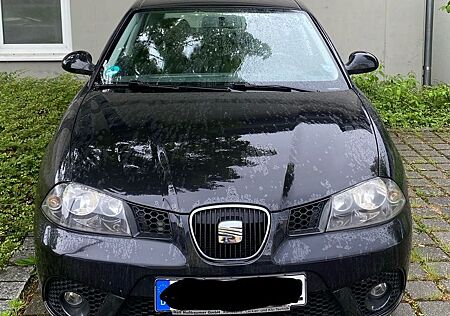 Seat Ibiza 1.2 Best of - 8-fach bereift