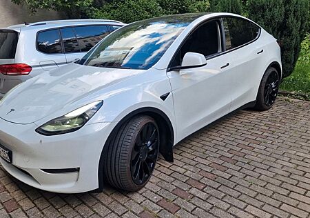 Tesla Model Y Performance