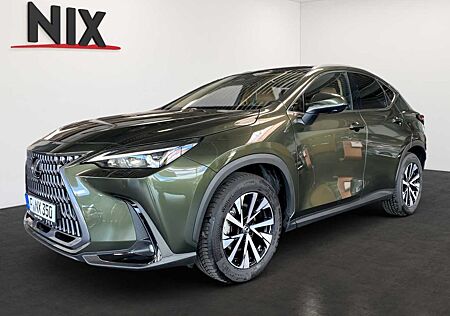 Lexus NX 350h Executive Line + Technik + Pano