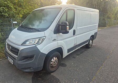 Fiat Ducato Kasten 30 115 L1H1 RS: 3000 mm