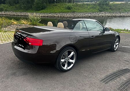 Audi A5 2.0 TDI multitronic Cabriolet -