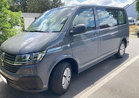 VW T6 Multivan Volkswagen behindertengerecht