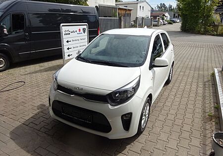 Kia Picanto gebraucht kaufen Kia Picanto 1.2 Vision/Design Paket