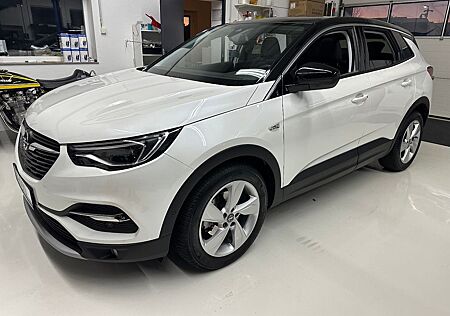 Opel Grandland X Grandland (X) Innovation Panodach