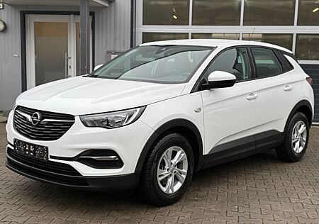 Opel Grandland X Grandland (X) Edition * LED * S-HEFT