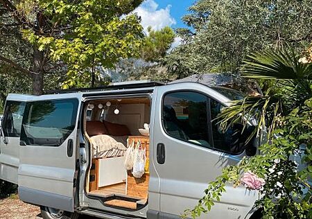 Opel Vivaro 2.5 CDTI LKW Kasten Campe