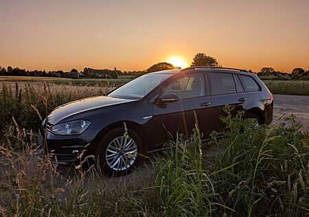 VW Golf Volkswagen 7 TSI DSG ACC AHK Standhzg ParkPilot Sitzhz