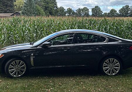 Jaguar XF 3.0 V6 Diesel