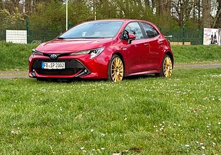 Toyota Corolla 2,0 Hybrid Comfort Comfort