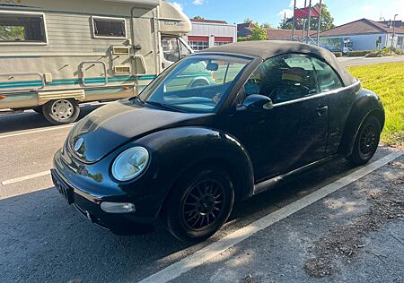 VW Beetle Volkswagen
