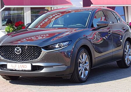 Mazda CX-30 2.0 M-Hybrid Selection 2WD LED Navi ACC