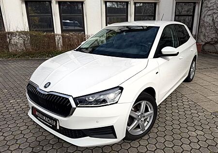 Skoda Fabia TSI Tour DSG LED*MFL*PDC*TEMP*AHK*Carplay