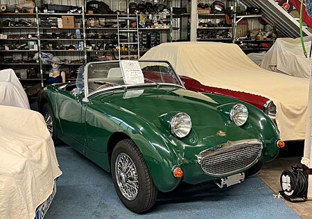 Austin Healey Sprite Frog eye Frosch