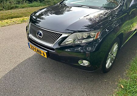 Lexus RX 450 RX 450h 4WD Pure