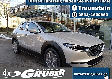 Mazda CX-30 e-SKYACTIV G Centre-line DESIGN-Paket