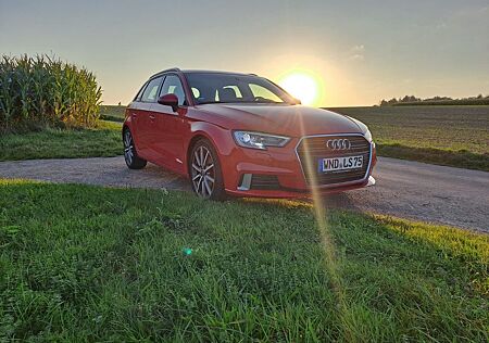 Audi A3 30 TDI Sportback -