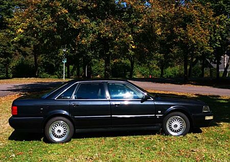 Audi V8 D11 Oldtimer