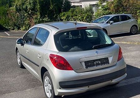 Peugeot 207 SW Filou 73 Filou