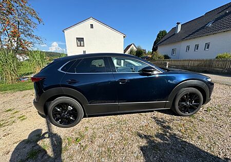 Mazda CX-30 /Homura /Garantie 8-Fach/Navi/Kamera/Keyle