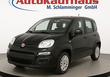 Fiat Panda 1.0 GSE Hybrid s&s /PDC/Spurassistent