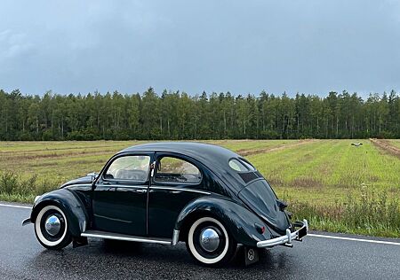 VW Käfer Volkswagen