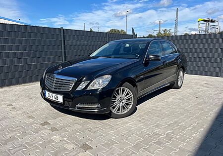 Mercedes-Benz E 220 E220 CDI Elegance | Leder | Panorama | TÜV neu |