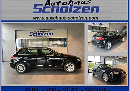 Audi A3 2,0 TDI NAVI AHK TEMP PDC V+ H SHZ