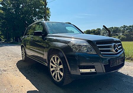 Mercedes-Benz GLK 220 CDI BlueEFFICIENCY - SUV