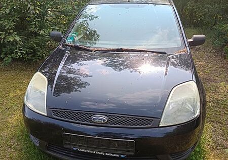 Ford Fiesta 1,3 44 kW Fun Fun